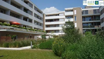 Gepflegte Grünanlage zwischen modernen Wohngebäuden mit vielfältiger Bepflanzung.