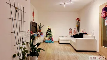 Gemütliches Wohnzimmer mit hellem Laminatboden, weißem Sofa und festlicher Dekoration.