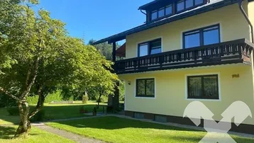 Großzügiger Gartenbereich mit altem Baumbestand und Blick auf das Haus.