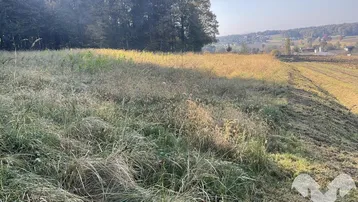Weitläufiges Feld mit trockenem Gras und Blick auf die umliegende Landschaft und entfernte Häuser.
