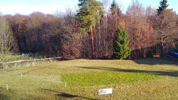 Weitläufiges Grundstück mit grüner Wiese und Waldrand im Hintergrund unter blauem Himmel.