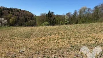 Weitläufiges Feld mit grünen Hügeln und Bäumen im Hintergrund unter klarem blauem Himmel.