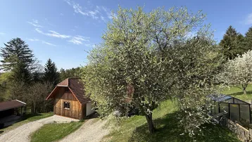 Kleines Holzhaus mit Gewächshaus in einer grünen, ländlichen Umgebung unter blauem Himmel.