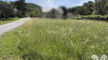 Weitläufiges Grundstück mit hohem Gras und einer Zufahrtsstraße, umgeben von grüner Landschaft.