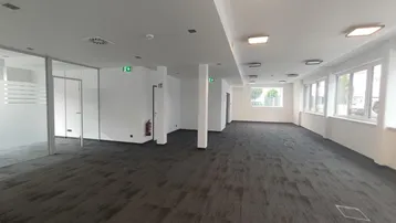 Geräumiges, leeres Büro mit dunklem Teppichboden, Glaswänden und großen Fenstern für viel Tageslicht.