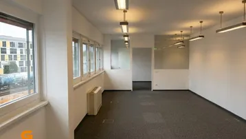 Heller, leerer Büroraum mit großen Fenstern, Teppichboden und moderner Deckenbeleuchtung.