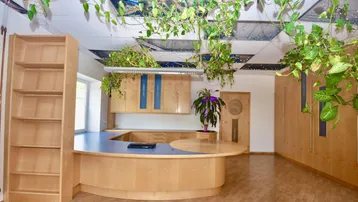 Geräumiges Büro mit heller Holzvertäfelung, blauen Akzenten und üppiger Hängepflanzen-Dekoration an der Decke.