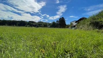 Weitläufiges grünes Feld unter blauem Himmel mit einem Haus in der Ferne.