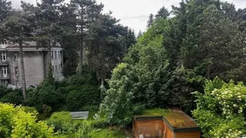 Üppiger grüner Garten mit altem Baumbestand und einem kleinen Holzschuppen mit begrüntem Dach.
