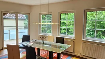Heller Essbereich mit modernem Glastisch, farbigem Teppich und Blick ins Grüne.