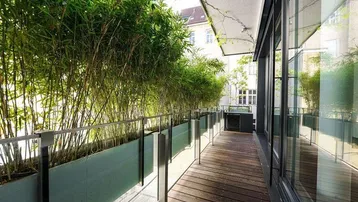 Langer Balkon mit Holzboden, Bambuspflanzen und großen Glasfenstern, der eine ruhige Atmosphäre schafft.