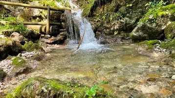 Kleiner Wasserfall in einem felsigen Bachlauf, umgeben von üppigem Grün und Moos.