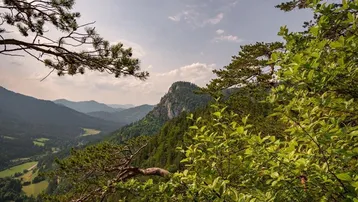 Malerische Berglandschaft mit dichten Wäldern und einem weiten Tal unter bewölktem Himmel.