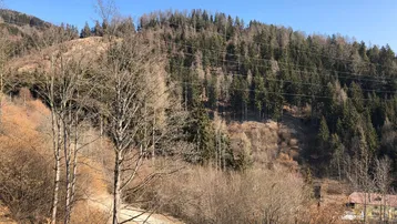 Blick auf einen bewaldeten Hügel mit kahlen Bäumen und einem kleinen Gebäude im Tal, unter blauem Himmel.