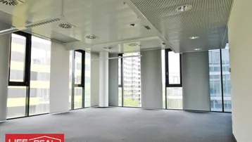 Geräumiges, leeres Büro mit großen Fenstern, Teppichboden und moderner Deckenbeleuchtung.