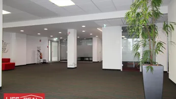 Großer, offener Bürobereich mit Teppichboden, Säulen und modernen Deckenleuchten sowie einer Pflanze.