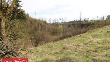 Grüne Hügellandschaft mit bewaldetem Tal und natürlicher Vegetation unter bewölktem Himmel.