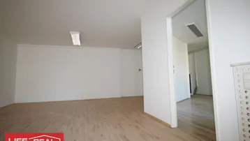 Heller, leerer Raum mit Holzfußboden und Deckenbeleuchtung, bereit zur individuellen Gestaltung.