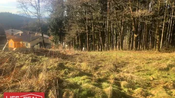 Naturbelassenes Grundstück mit Waldrand und Blick auf entfernte Häuser.
