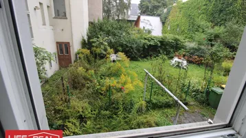 Blick aus dem Fenster auf einen grünen, naturbelassenen Garten mit viel Potenzial zur Gestaltung.