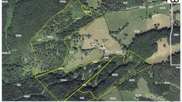 Expose Wald 28,3 ha bei Schwarzenbach/Pielach