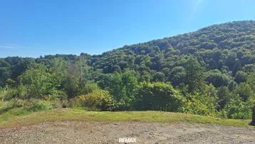 Hügelige Landschaft mit dichtem Wald unter klarem blauem Himmel und sonnigem Wetter.