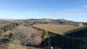 Weitläufiger Blick über hügelige Landschaft mit Weinbergen und Wäldern unter blauem Himmel.