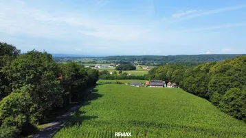 Weitläufige Landschaftsaufnahme mit grünen Feldern, Wäldern und einem Dorf in der Ferne unter blauem Himmel.