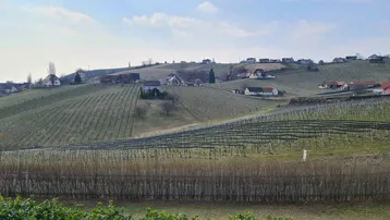 Malerischer Blick auf sanfte Hügel mit Weinbergen und verstreuten Häusern in der Ferne.