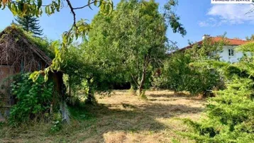 Naturbelassener Gartenbereich mit altem Baumbestand, viel Grünfläche und einem kleinen Schuppen.