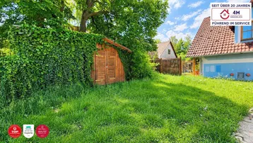 Grüner Gartenbereich mit Rasenfläche, bewachsener Mauer, einem Holzschuppen und angrenzendem Gebäude.