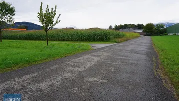 Blick auf einen Feldweg, umgeben von grünen Wiesen und einem Maisfeld unter bewölktem Himmel.