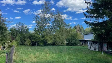 Grünes Grundstück mit Bäumen unter blauem Himmel, ideal für die Bebauung.