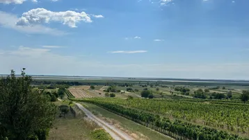 Weitläufige Landschaft mit Weinbergen, Feldern und einem See am Horizont unter blauem Himmel.