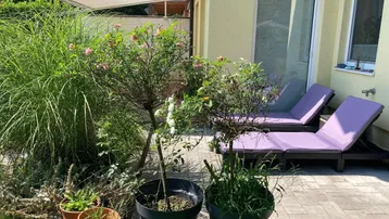 Sonniger Terrassenbereich mit bequemen Liegestühlen, Pflanzen und einer ausfahrbaren Markise.