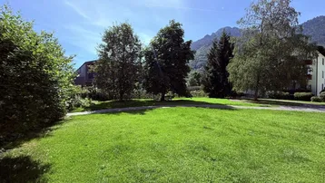 Große Rasenfläche mit Bäumen und Bergblick unter blauem Himmel an einem sonnigen Tag.