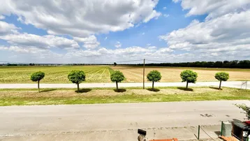 Weitläufiger Blick über grüne Felder und die offene Landschaft unter blauem Himmel.