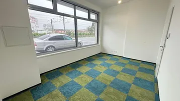 Heller Büroraum mit großen Fenstern zur Straße und einem auffälligen grün-blauen Teppichboden.