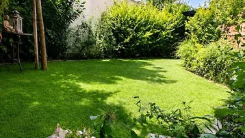 Gepflegter Garten mit Rasenfläche, hohen Hecken und schattenspendenden Bäumen.