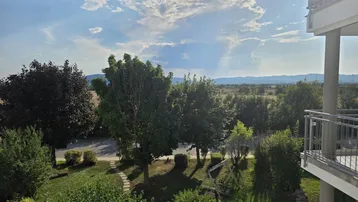 Blick vom Balkon auf eine grüne Landschaft mit Bäumen und fernen Bergen unter einem bewölkten Himmel.