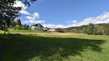 Weitläufiges grünes Feld mit Wohnhäusern im Hintergrund unter blauem Himmel mit Wolken.