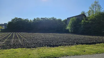 Weitläufiges Ackerland mit jungen Pflanzen und einem Gebäude im Hintergrund unter blauem Himmel.