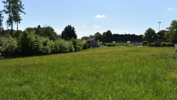 Weitläufige grüne Wiese mit Bäumen und einem Gebäude im Hintergrund unter blauem Himmel.