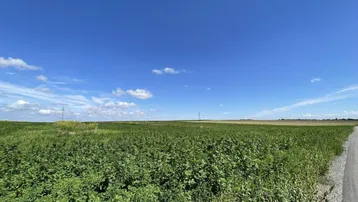 Weitläufiges grünes Feld unter strahlend blauem Himmel mit wenigen Wolken und Strommasten in der Ferne.