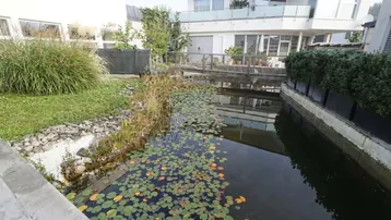 Außenbereich mit Teich, Seerosen und einer kleinen Brücke, umgeben von Grünflächen und moderner Architektur.