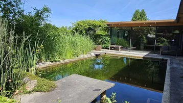 Natürlicher Schwimmteich im Gartenbereich mit üppiger Bepflanzung und Blick auf die moderne Architektur.