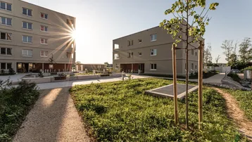Neue Wohngebäude mit gepflegten Grünflächen und Wegen im Sonnenlicht am späten Nachmittag.