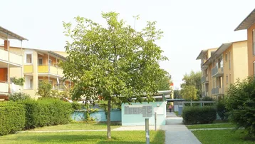 Grüner Innenhof mit Bäumen, Rasenflächen und Mehrfamilienhäusern in der Umgebung.