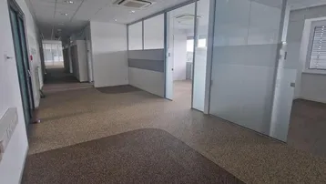 Langer Büroflur mit Teppichboden und modernen Glaswänden, die zu einzelnen Büros führen.