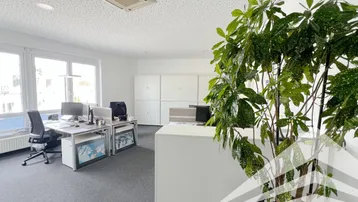 Modernes Großraumbüro mit Teppichboden, großen Fenstern und integrierter Deckenklimaanlage.